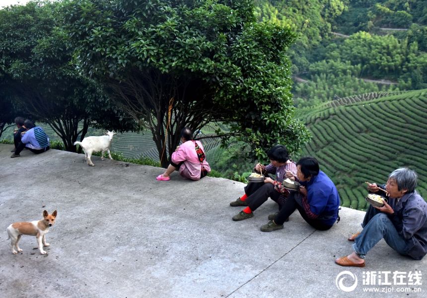 无码秘 人妻一区二区三
