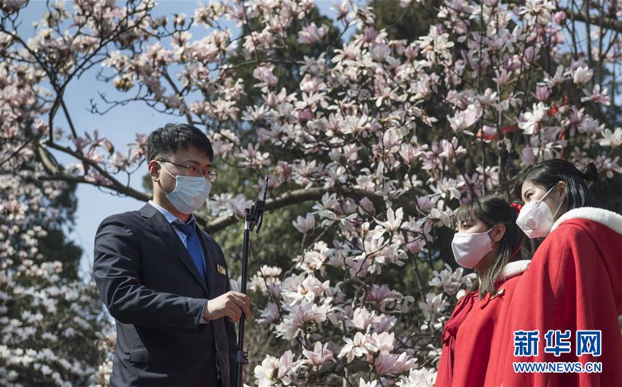 速敗手下敗將笑著離場讓網友懵圈，張之臻解惑：成績遠超預期