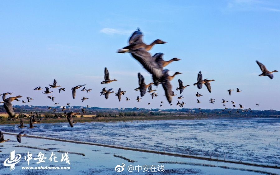 汪峰新女友和前夫昔日合照曝光，大量私人生活照公开