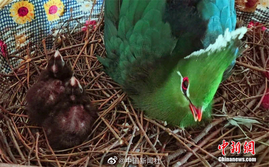 再深一点灬舒服灬太大的用户评价