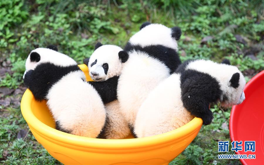 亚洲欧洲综合