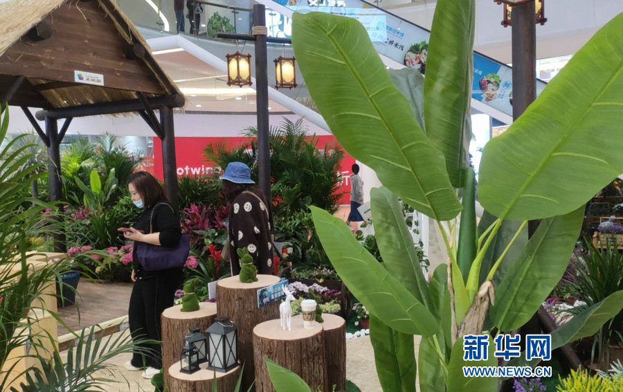 欧美乱理水蜜桃