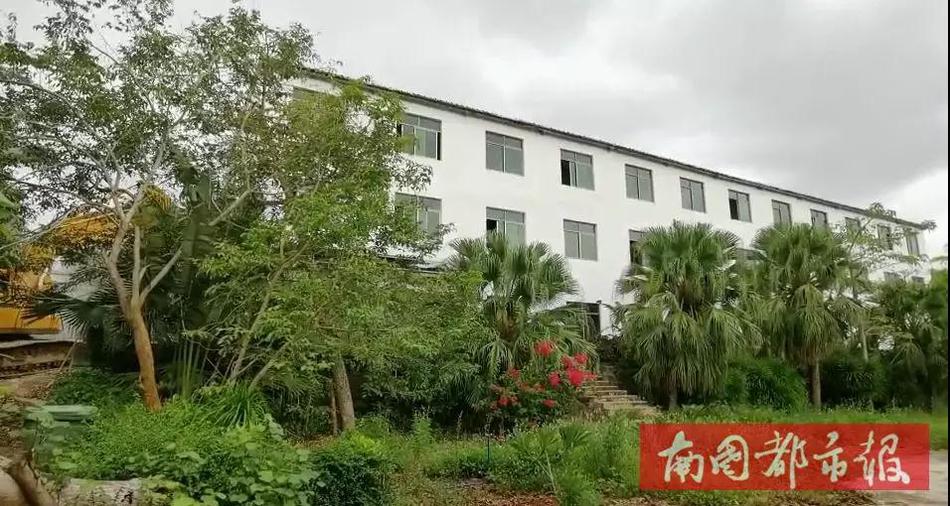 小樱同意让博人吃饺子