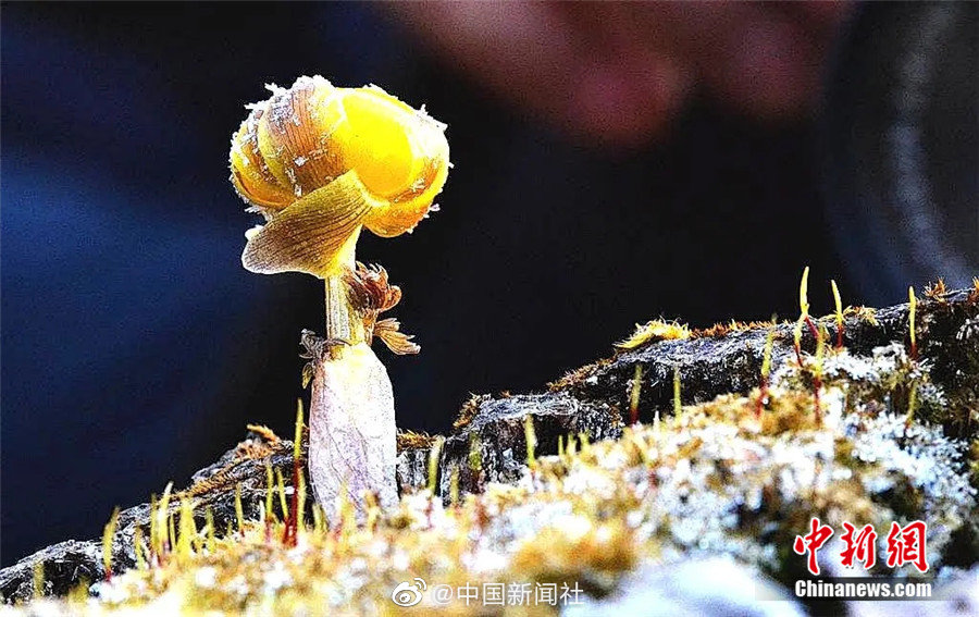 做爰XXXⅩ高潮69XX电影
