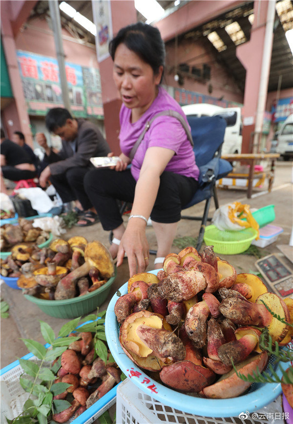 我与乡下诱奷小Y头