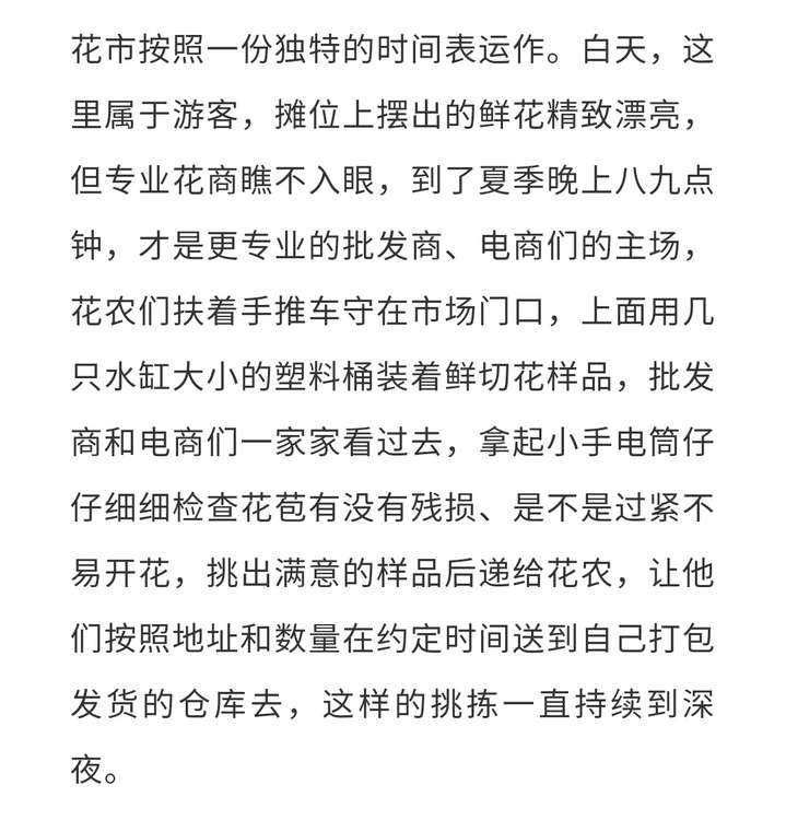 香港小姐