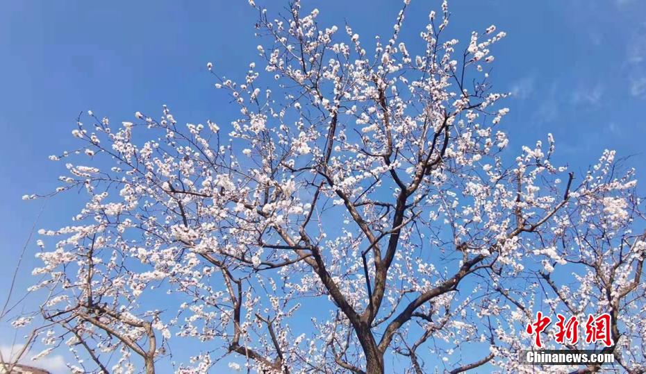 殴美一级