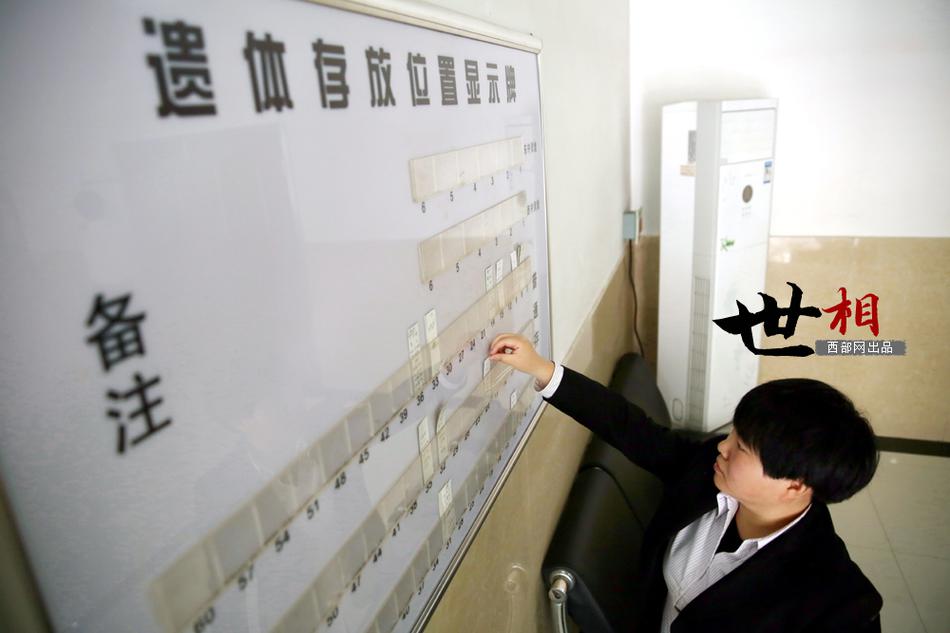 草莓视频导航