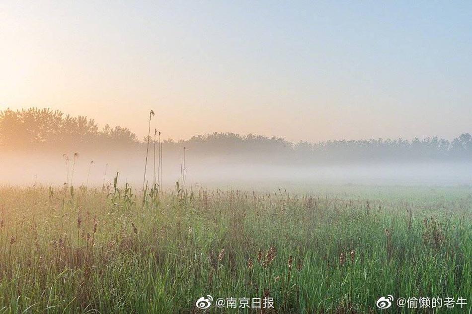 在线观看黄色