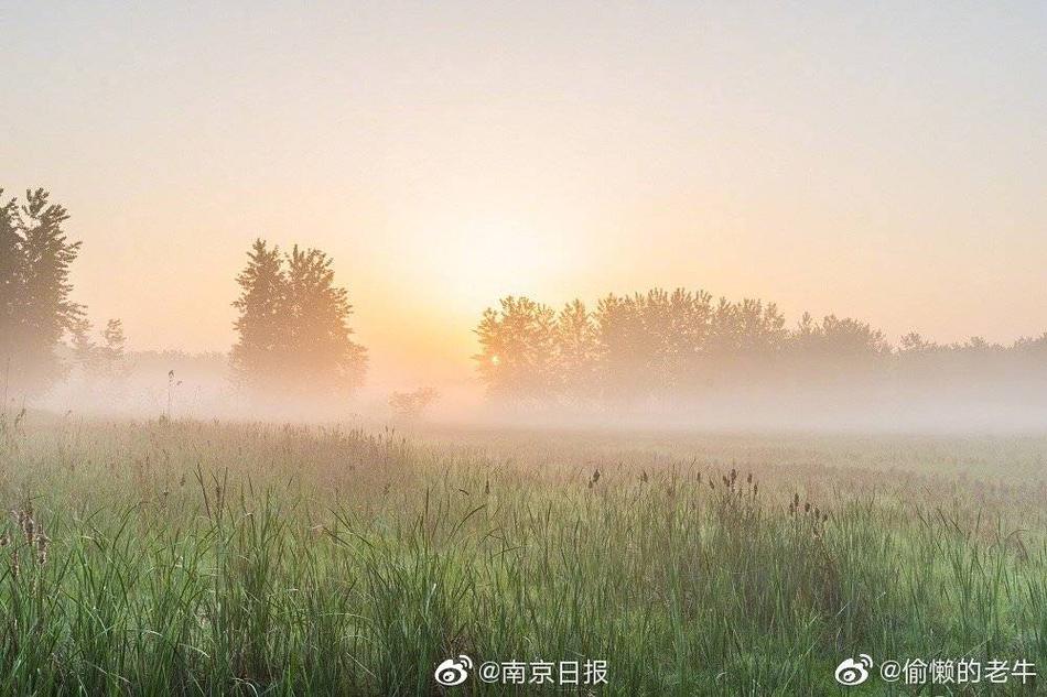 xxww日本