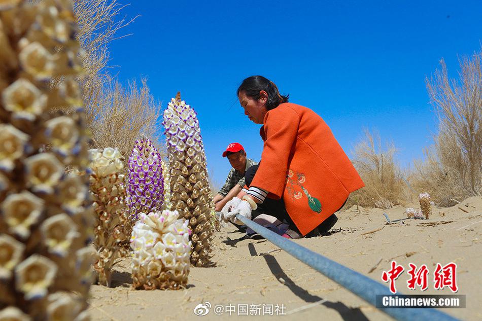 欧美I色综合黄片