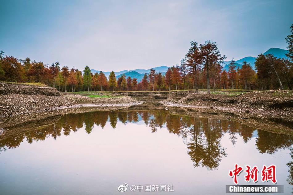 疯狂四P群体交乱