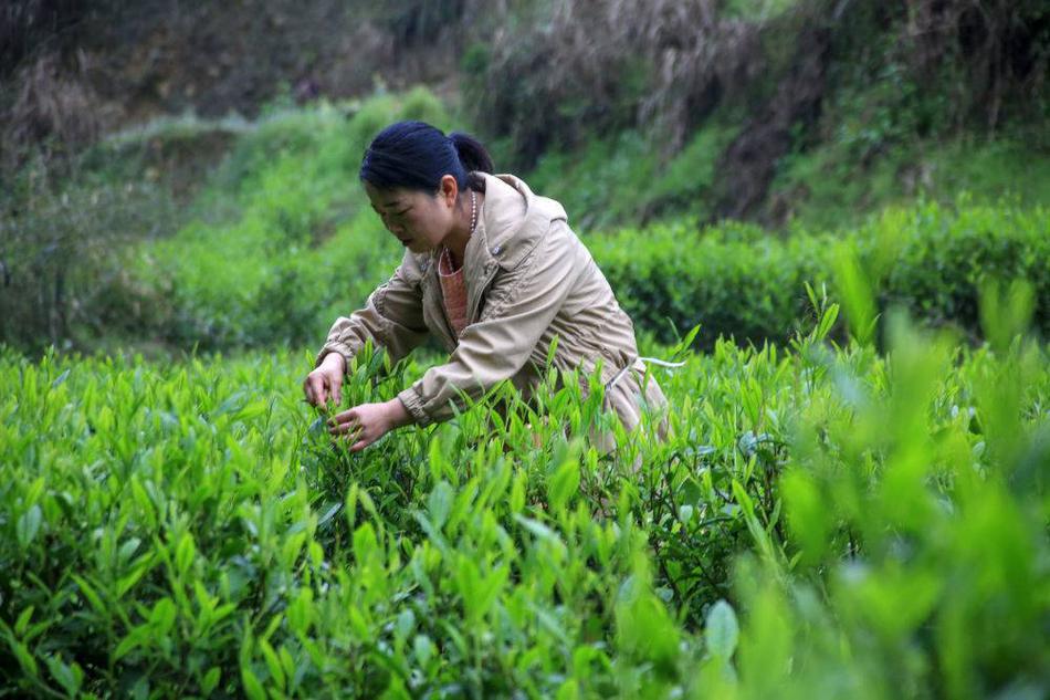 欧美三级福利片