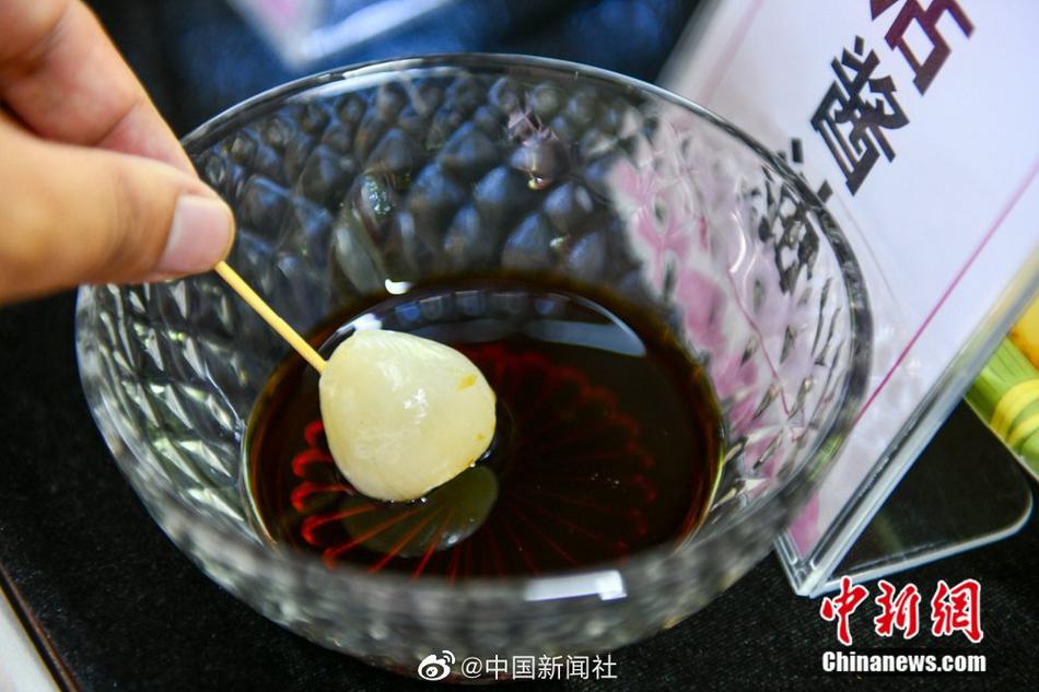 台灣小野貓