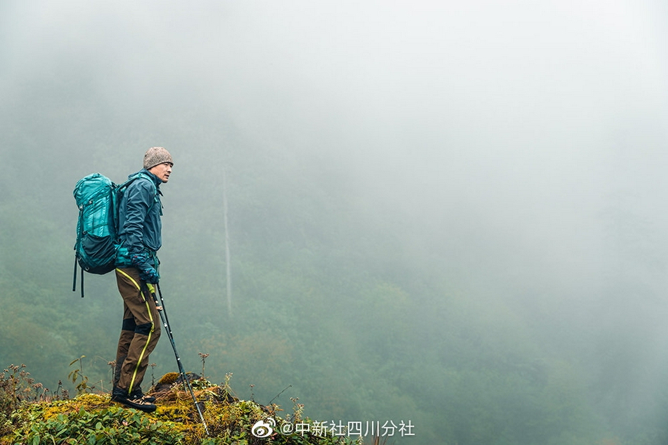 荷兰人性爱视频