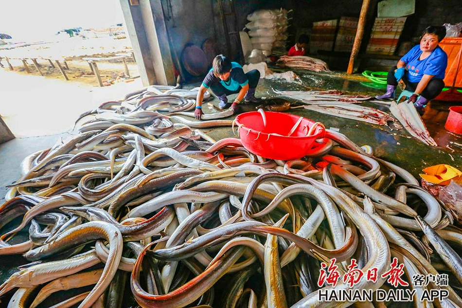 多毛熟女色情