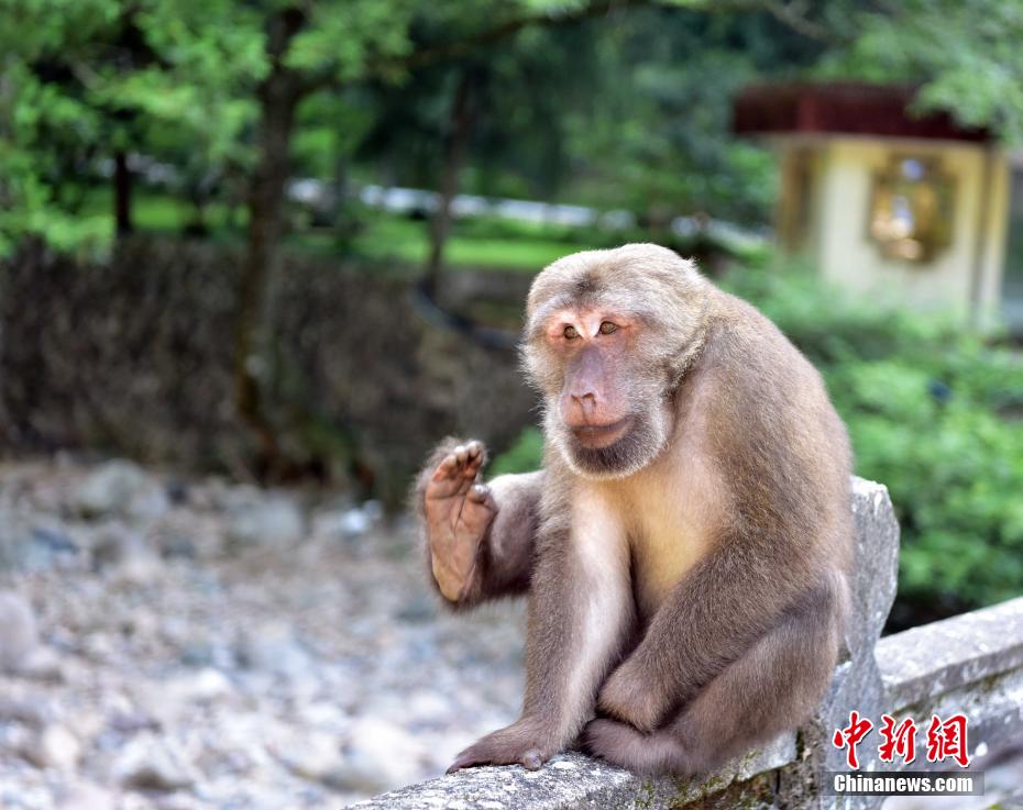 三级片特级片，黄色三级