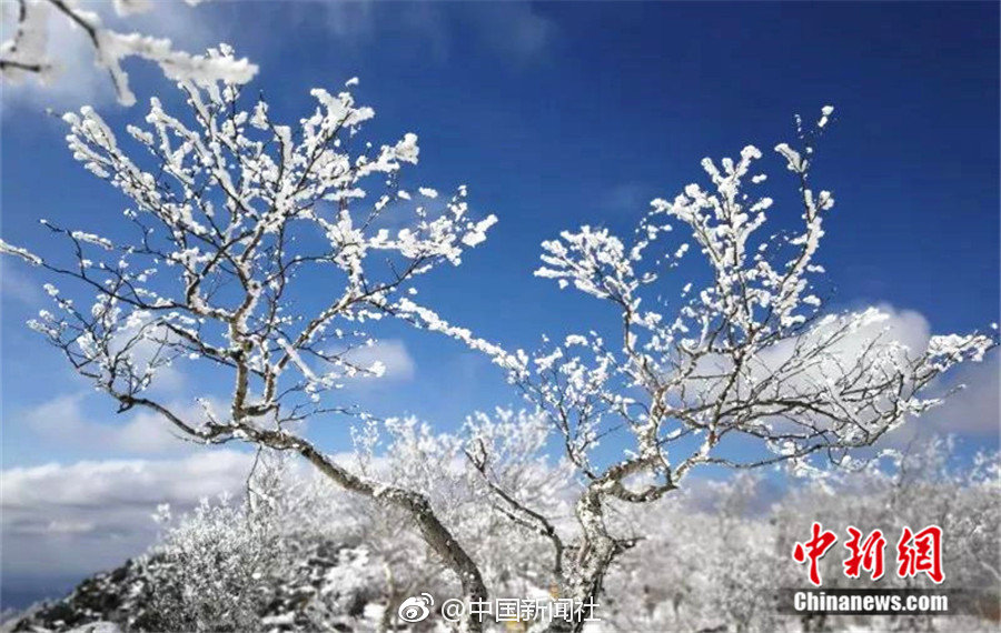 陈冠希实干阿娇