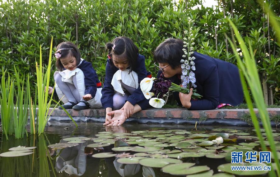 国模GOGO大尺度专业人体
