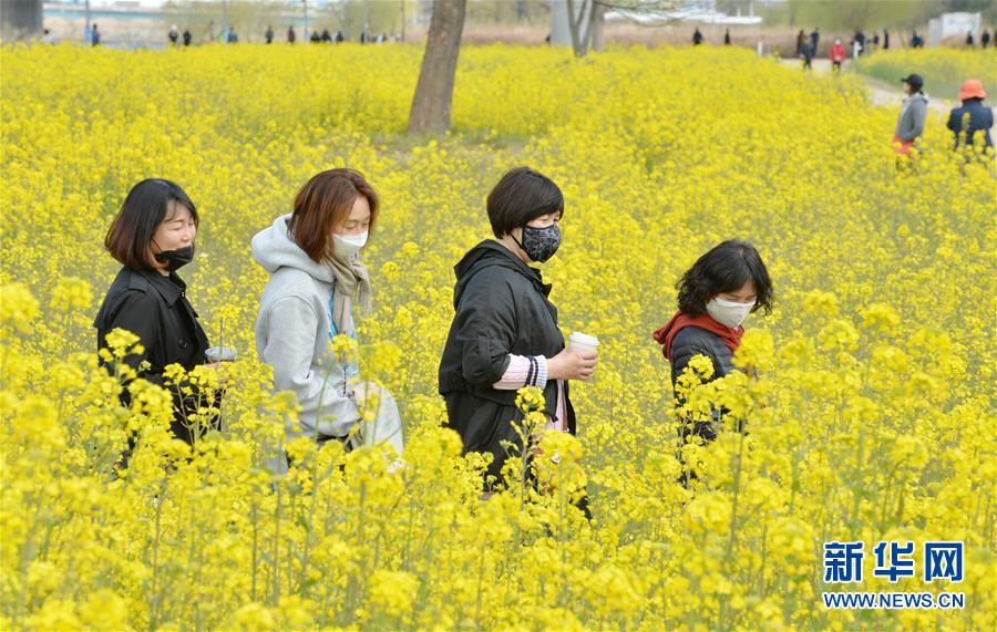 動漫鬼父