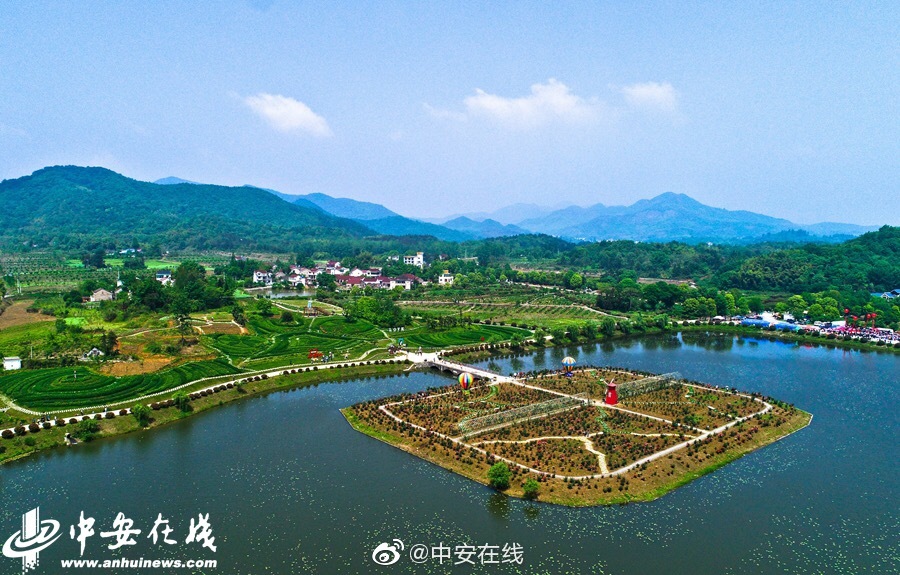 有越南最黄的黄片