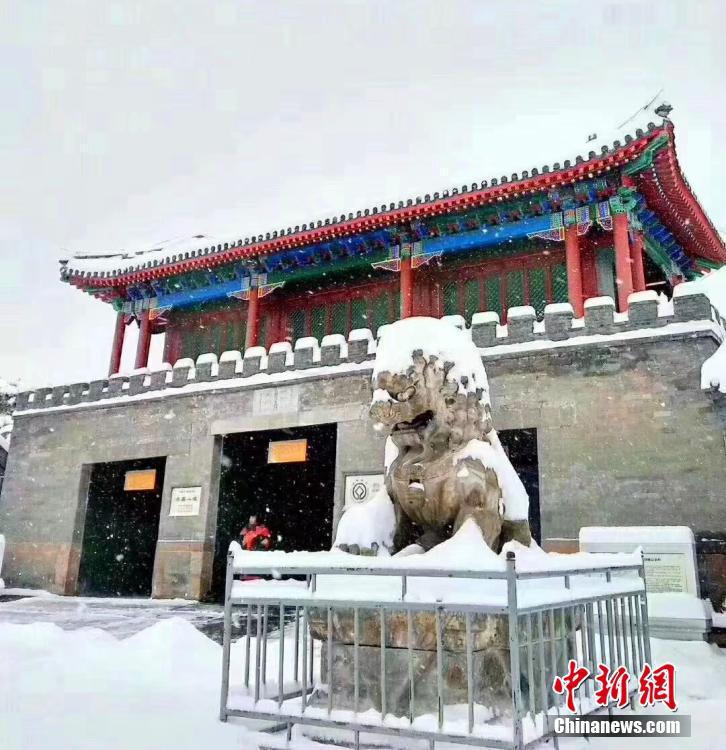 狠狠干天天干