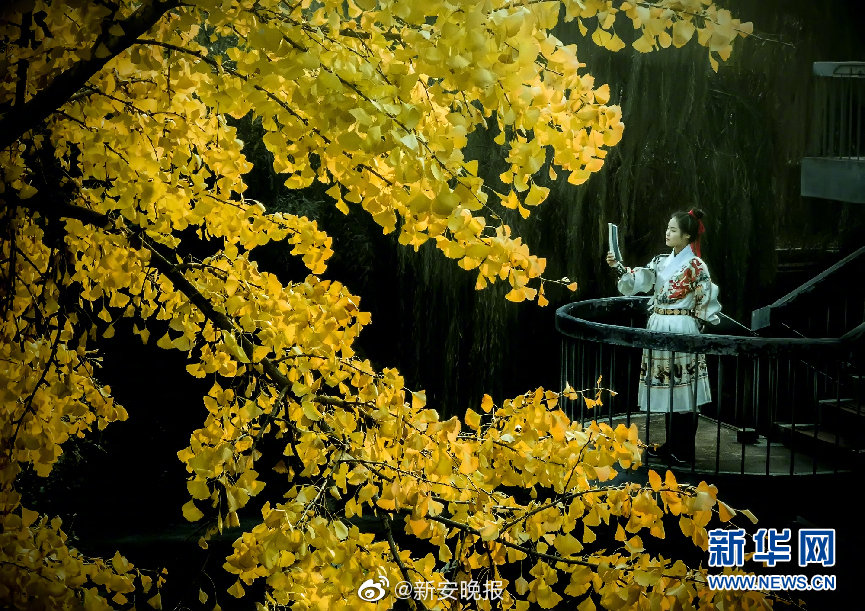 夫妻性生活黄色网站