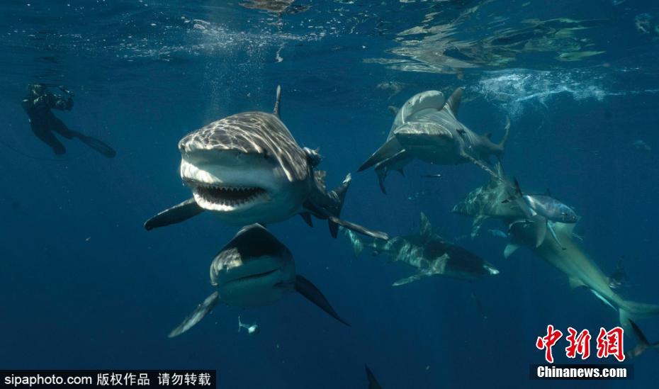 海邊做愛