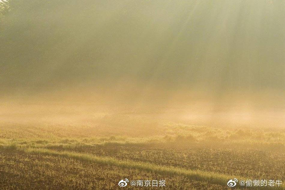 欧美成 人 在 线 免费