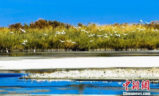 亚洲天堂一区二区