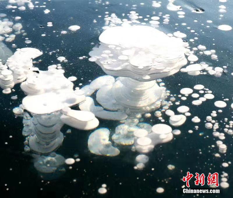 沟厕沟女厕偷拍大赏
