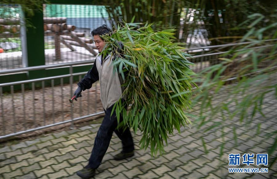 猛男老女操逼视频