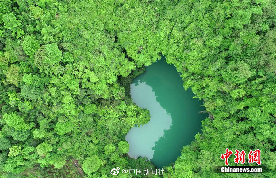 牛牛av