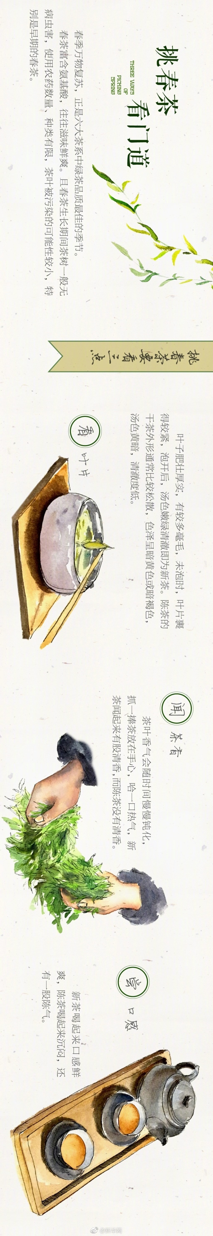 德国美女