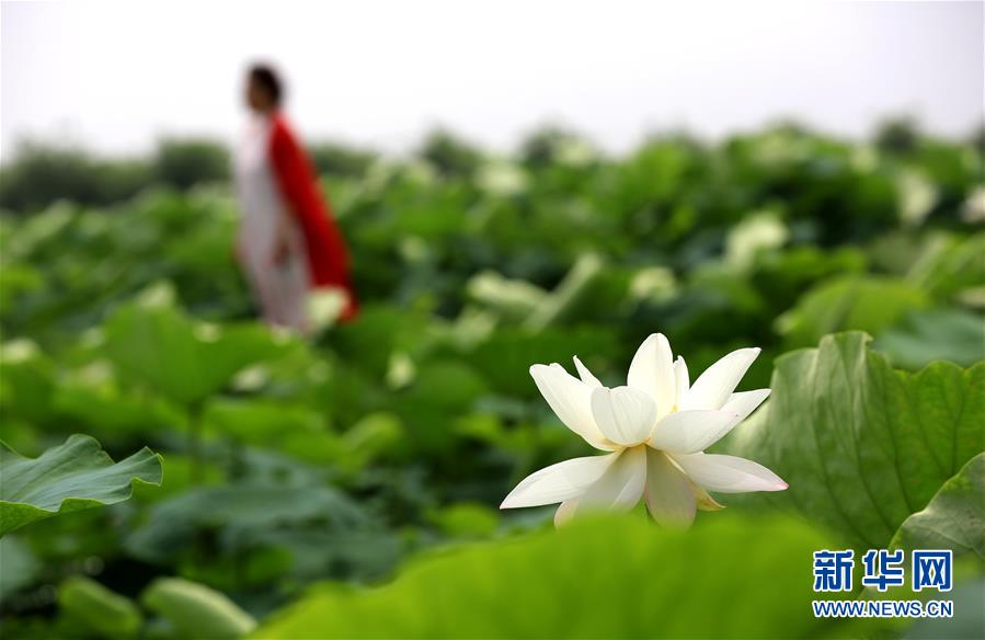 黑人一天弄我10次