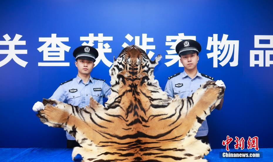 国产操逼视频