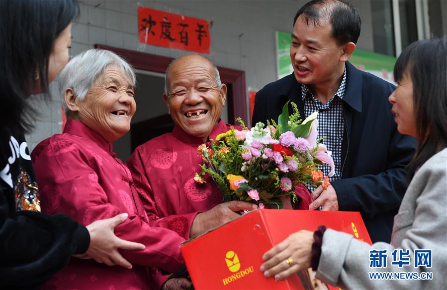 欧美成年人网