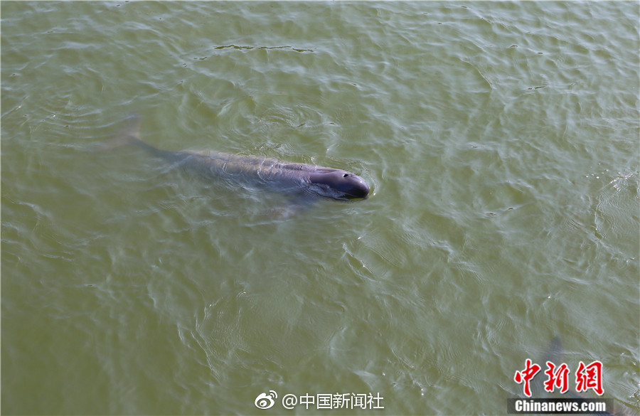 夫妻性生活电影网