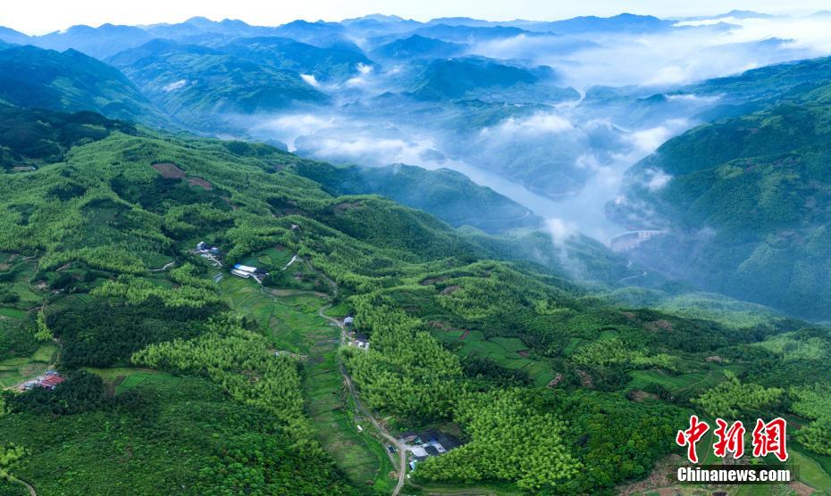 莫綺雯