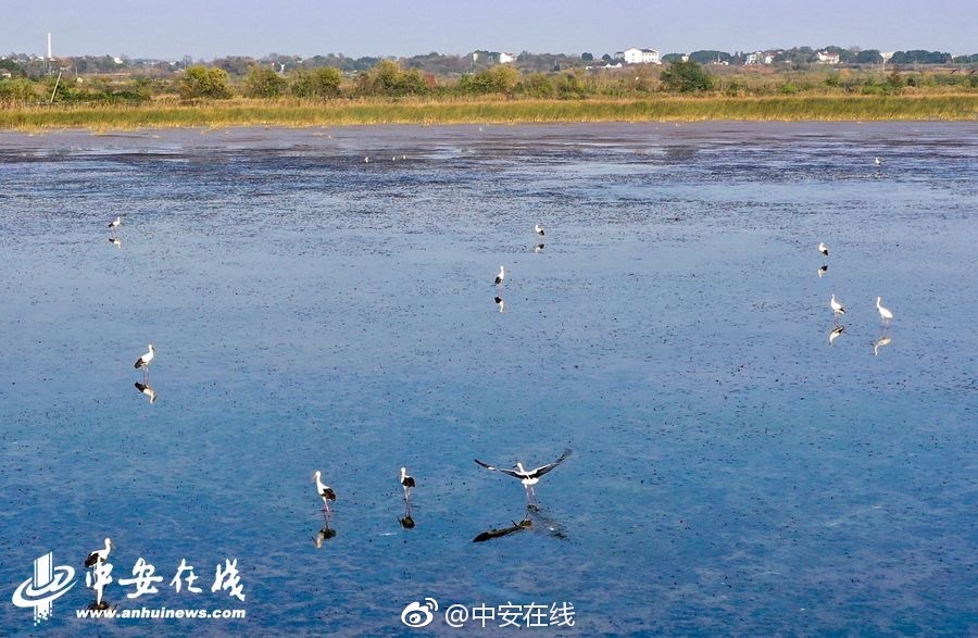 一级毛片赵丽颖本人自拍