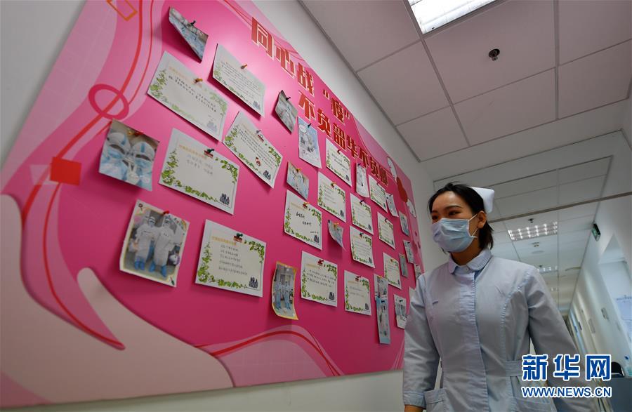 女解说腐团儿