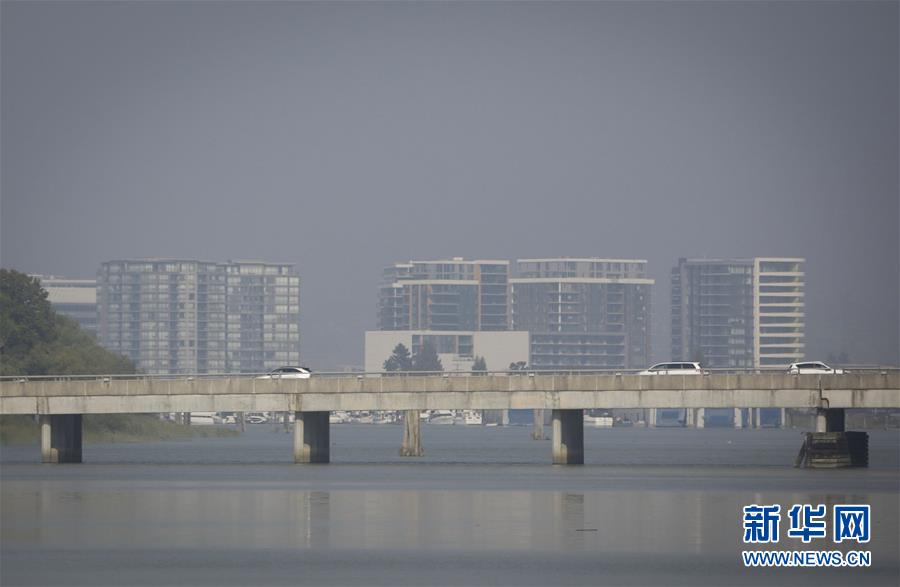 今年前四个月物流需求持续扩大 多领域增速加快