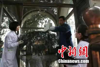 偷情黄色视频三级片
