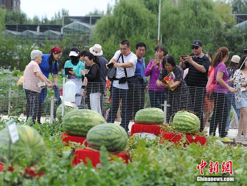 成 人 黄 色 网 站 播放 S色