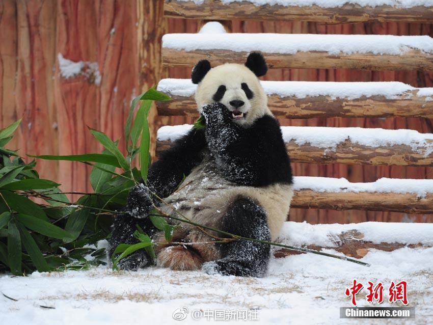 卖婬中国妓女普通话BBw