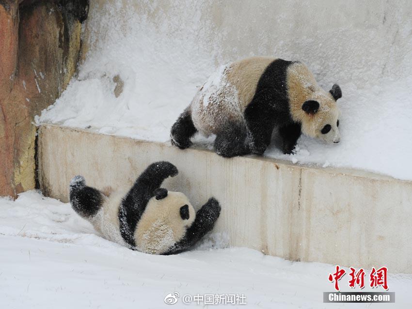 偷拍中国丰满女人洗澡视频