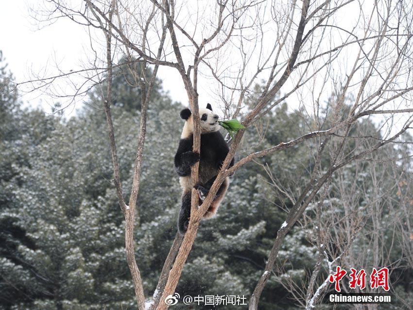看黄的网站在线观看