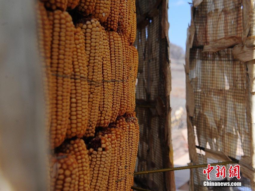 好 用 的 成人 网站