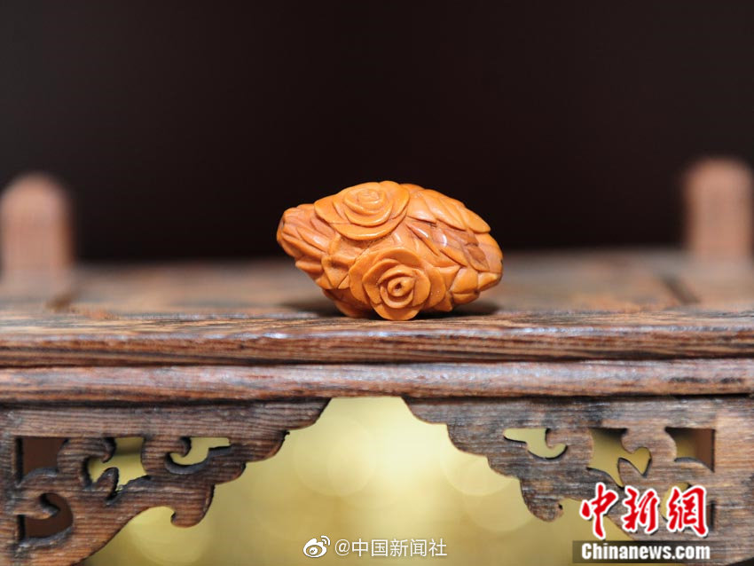 动漫 色情 网