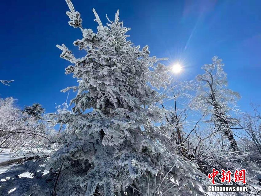 lubuntu在线路检测入口